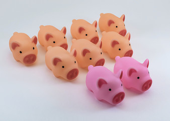 Piglets-symbol of the New year on a white background