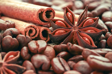 cinnamon and star anise