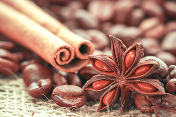 anise and cinnamon sticks on wooden background