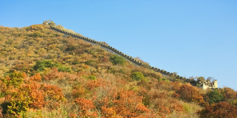 An unconstructed wall among the mountains covered with autumn forest. Plot Mutianyu Great Wall
