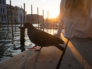 イタリアのベニスの夕暮れ
