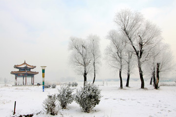 Rime scenery in a park