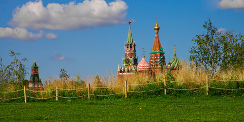 Fototapeta premium Rustic meadow and the Cathedral of the Basil of Blessed in the park Zaryadye.