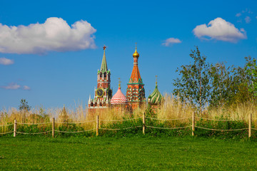 Obraz premium Rustic Meadow and the Savior Tower in the park Zaryadye.