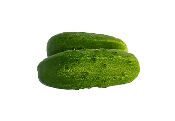 Short-fruited cucumbers on white background
