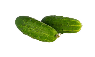 Short-fruited cucumbers on white background
