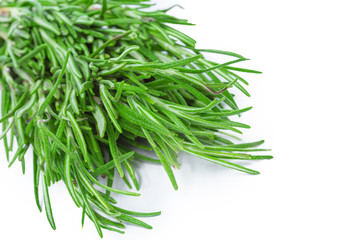 fresh rosemary bunch isolated on white background