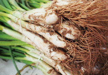 Green onion or scallion on wooden board, fresh spring chives