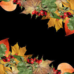 Beautiful autumn background of rosehip berries, physalis, maple and oak leaves 