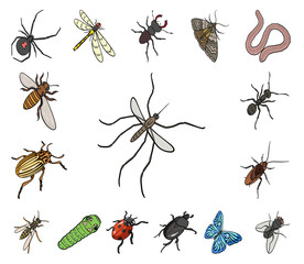 Different kinds of insects cartoon icons in set collection for design. Insect arthropod vector isometric symbol stock web illustration.