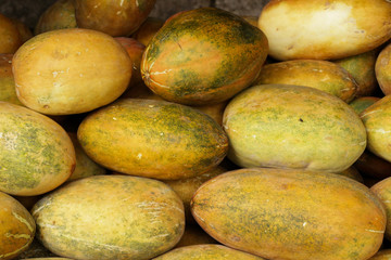 Muskmelon Close up