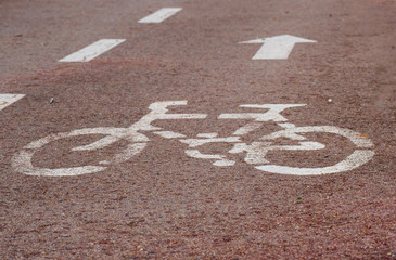 Fototapeta premium Bicicleta y flecha en carril bici