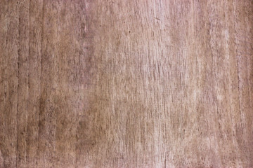 Wood Textures Backgrounds