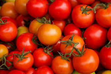 Tomato Close up