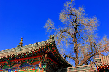 Gray roof in the Five Pagoda Temple, China