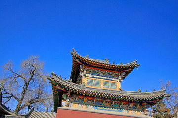 Fototapeta premium Gray roof in the Five Pagoda Temple, China