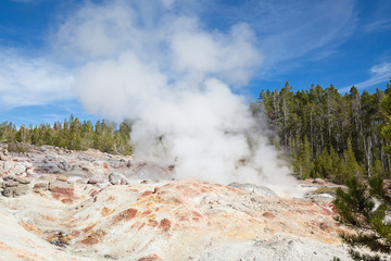 Norris geyser basin