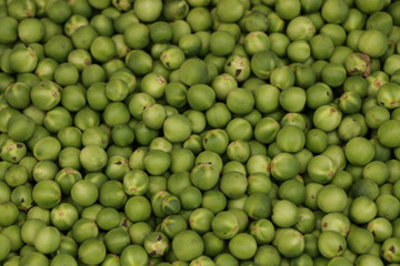 Turkey berry Close up