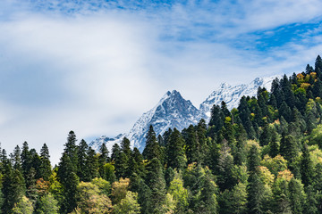 Mountain peak Dombay. National Park, Russia, Karachay-Cherkessia. Green coniferous forest