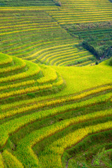 Longji Rice Terraces