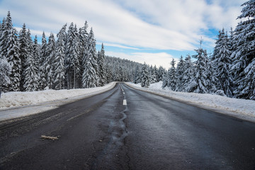 Empty clean asphalt road at wintertime, big snow on the pine woods, blue sky with white clouds.