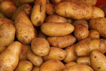 potato Close up