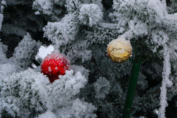 Christmas fluffy tree, decorated with bright colorful balls, covered with snow-white frost in  bitter cold.