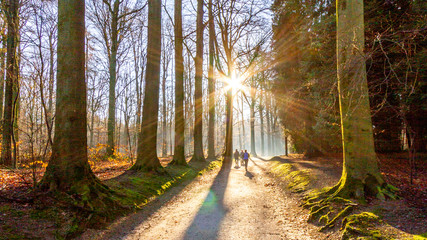 Obraz premium Nature