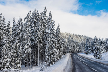 Empty clean asphalt road at wintertime, big snow on the pine woods, blue sky with white clouds.