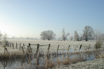 Près gelé