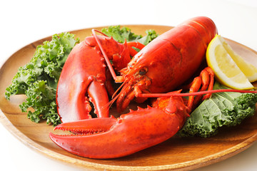 ロブスター　Lobster