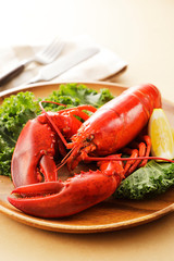 ロブスター　Lobster