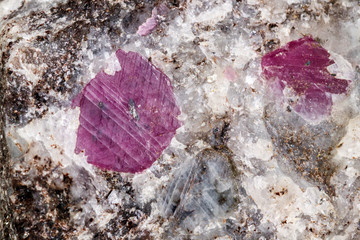 Macro of a mineral Ruby stone on a white background