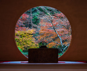 鎌倉　明月院　悟りの窓