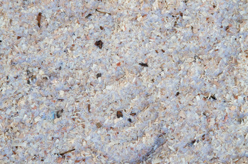 wood shavings wood background