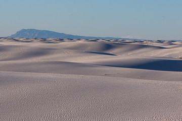 sand dunes in the desert
