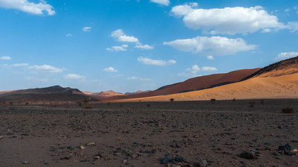 desert landscape