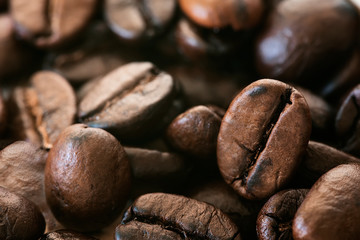 Roasted coffee bean in close up view.