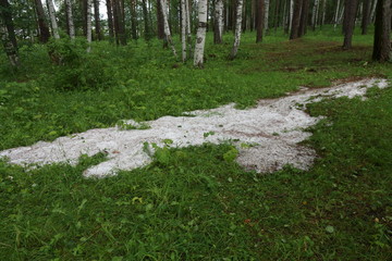 snow in summer