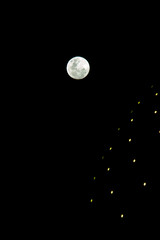 Full moon at side of Buenos Aires planetarium. Night sky. 