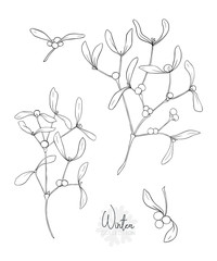 Set with a christmas plant