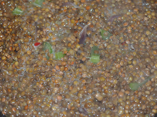 lentils pulse grain legume (Lens Culinaris) legumes vegetables f