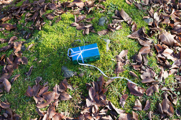 Christmas and New Year concept. Small gift at nature during sunlight. Empty space. No snow