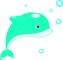 Illustration of baby dolphin	