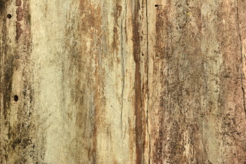 old wood texture