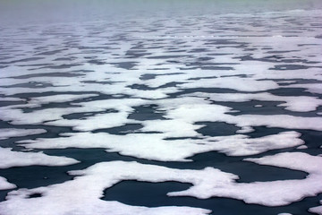 Pack ice near the North pole