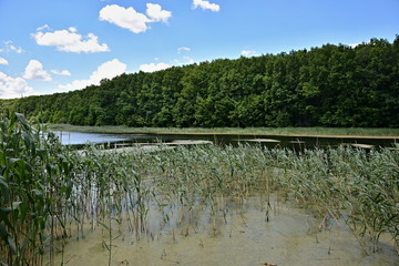 On the lake.