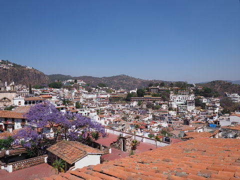 Attractive cityscape landscape of historical Taxco city with jacaranda tree in Mexico