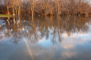 Flooded Parking Lot 