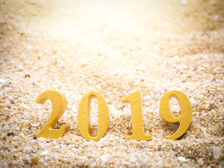 Year 2019 on the beach for background